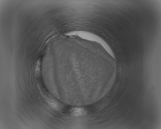 X0000085060507200703261208