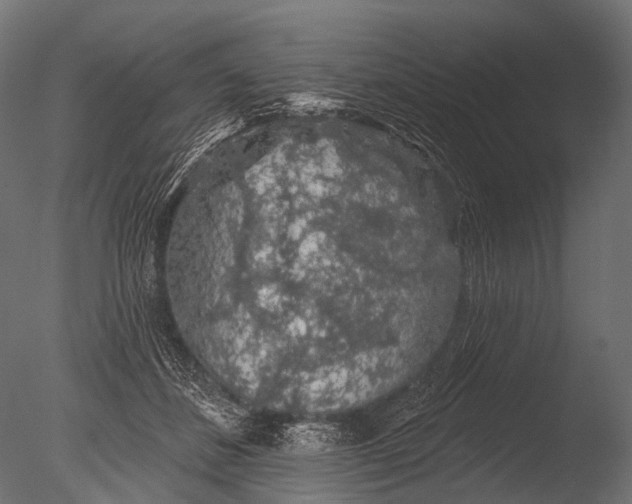 X0000085060508200703261208