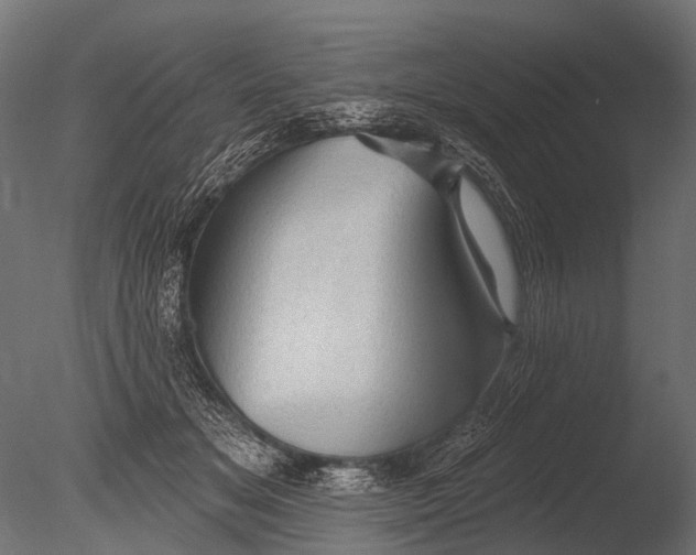 X0000085060509200703261208