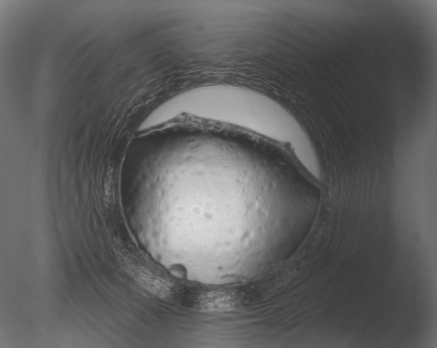 X0000085060511200703261208