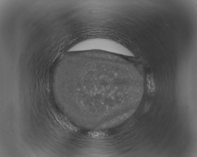 X0000085060512200703261208