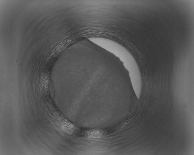 X0000085060513200703261208