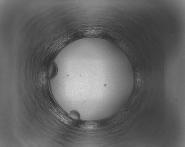 X0000085060514200703261208
