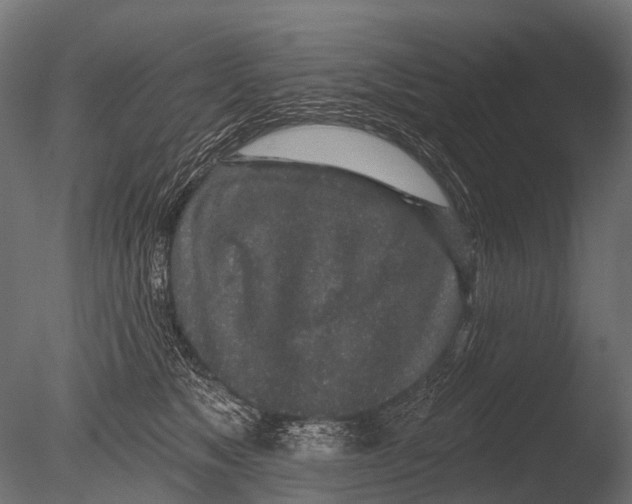 X0000085060517200703261208