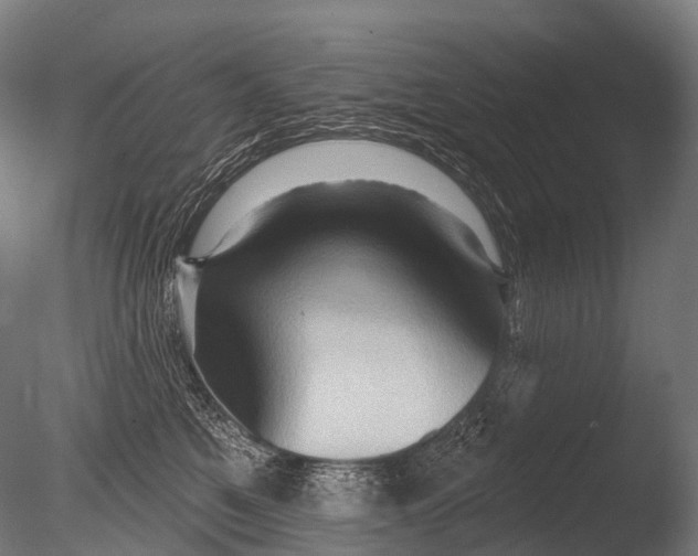 X0000085060521200703261208
