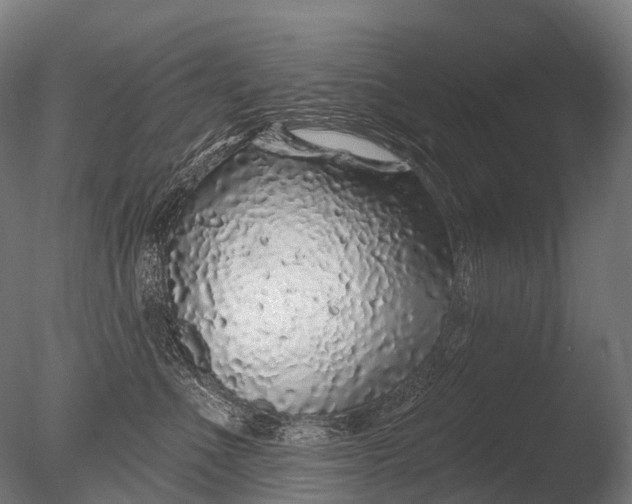 X0000085060523200703261208