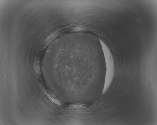 X0000085060524200703261208