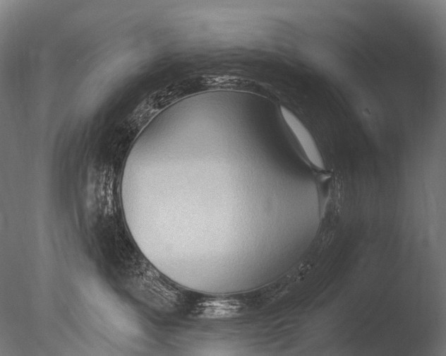 X0000085060525200703261208