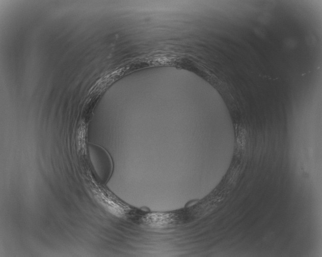 X0000085060526200703261208