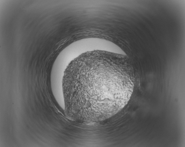 X0000085060527200703261208