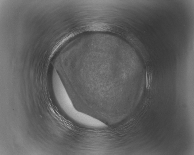 X0000085060531200703261207