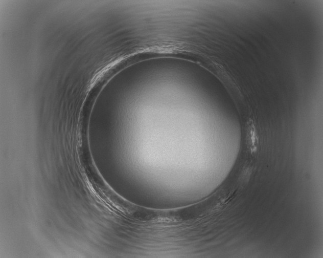X0000085060536200703261207