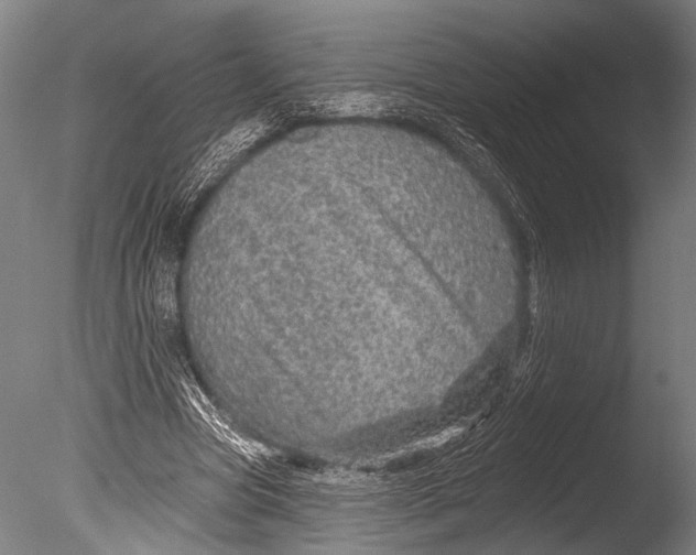 X0000085060537200703261207