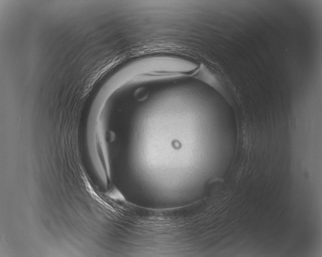 X0000085060538200703261207