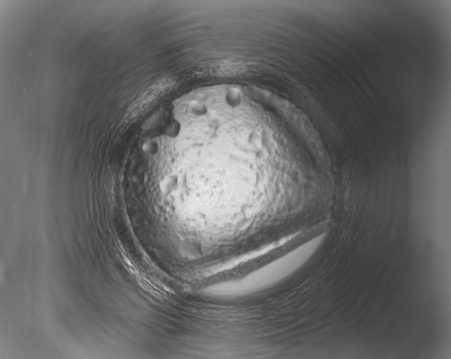 X0000085060542200703261207