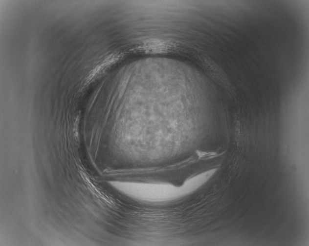 X0000085060543200703261207