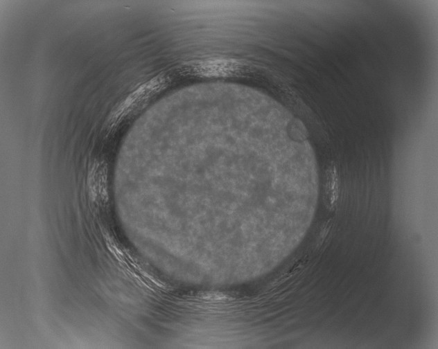 X0000085060547200703261207