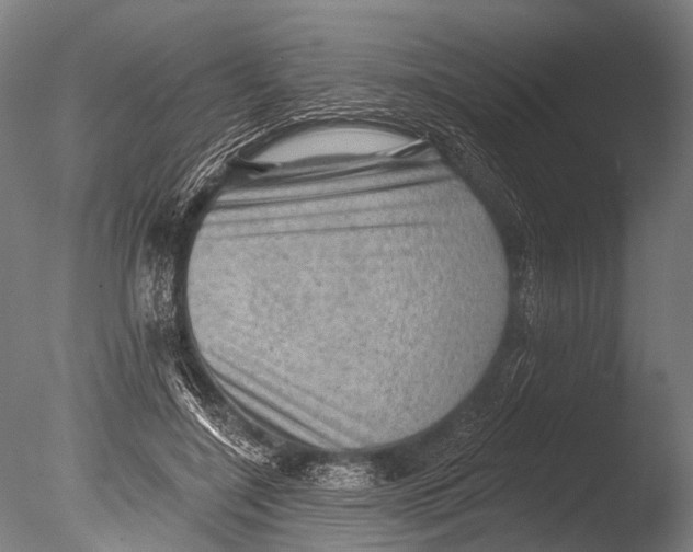 X0000085060548200703261207