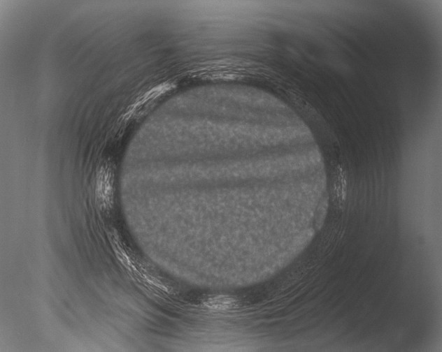 X0000085060551200703261207