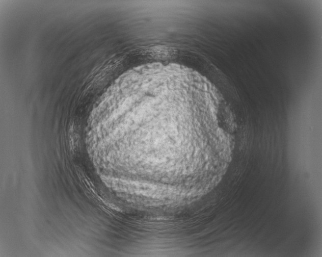 X0000085060553200703261208