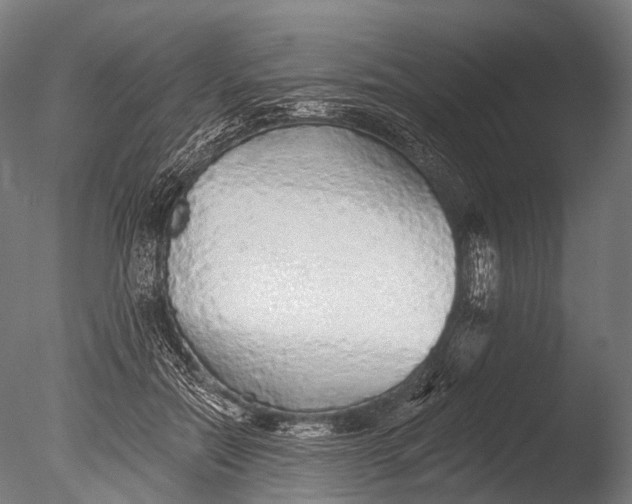 X0000085060554200703261208