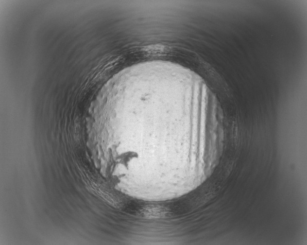 X0000085060557200703261208