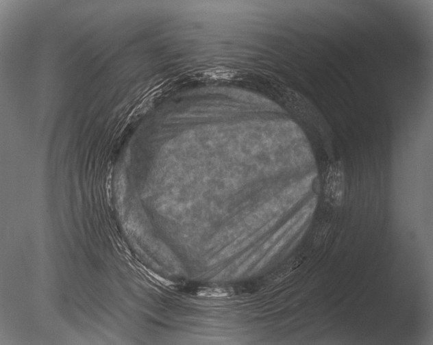 X0000085060559200703261208