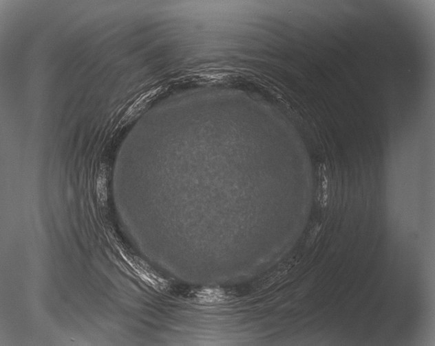 X0000085060562200703261208