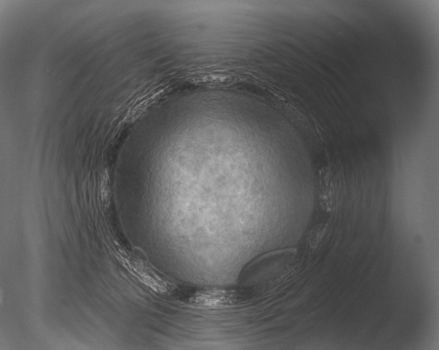 X0000085060563200703261208