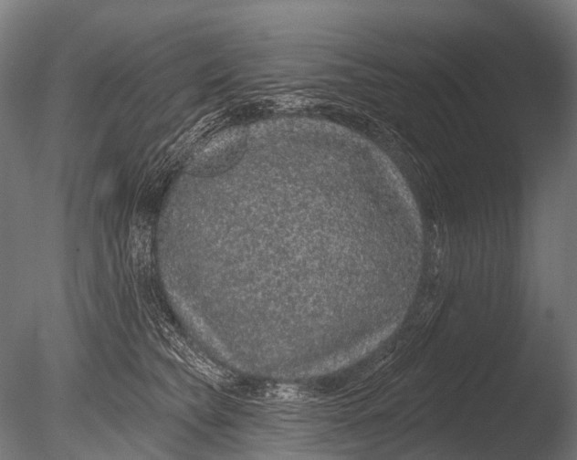 X0000085060565200703261208