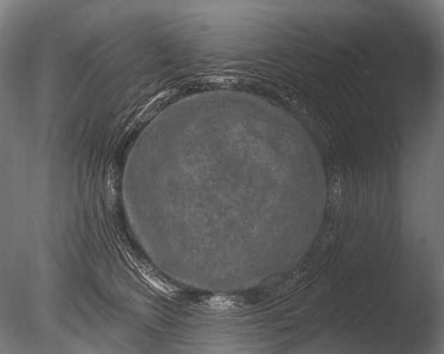 X0000085060566200703261208