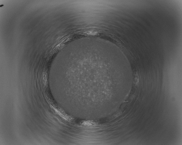 X0000085060568200703261208