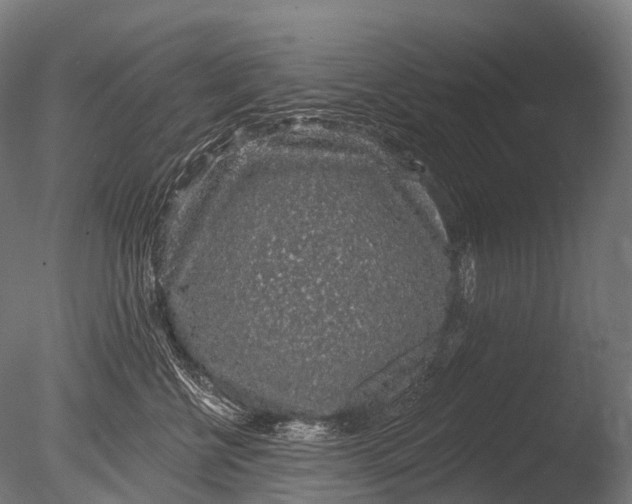 X0000085060570200703261208