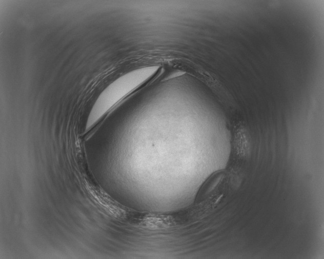 X0000085060571200703261208