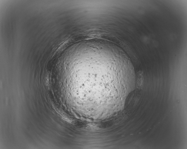 X0000085060573200703261208