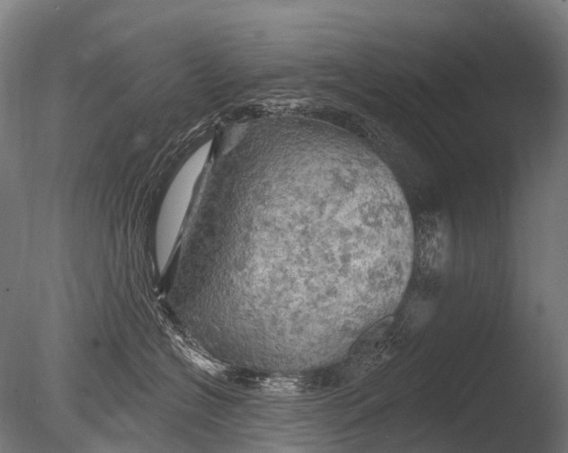 X0000085060574200703261208