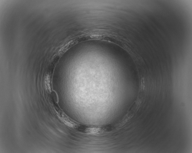 X0000085060575200703261208