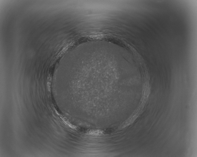 X0000085060576200703261208