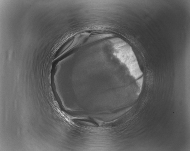 X0000085060577200703261207