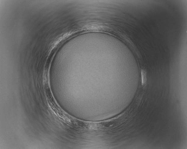 X0000085060579200703261207
