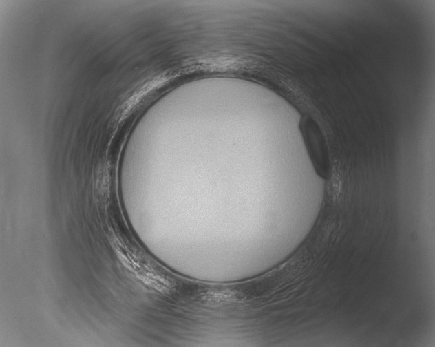 X0000085060583200703261207