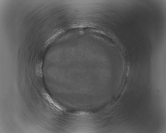 X0000085060585200703261207