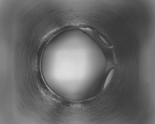 X0000085060587200703261207