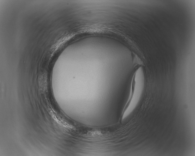 X0000085060588200703261207
