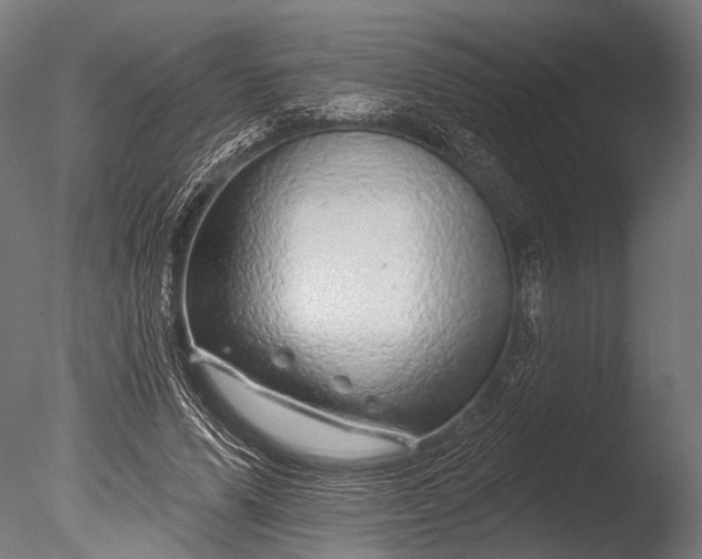 X0000085060591200703261207