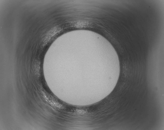 X0000085060592200703261207