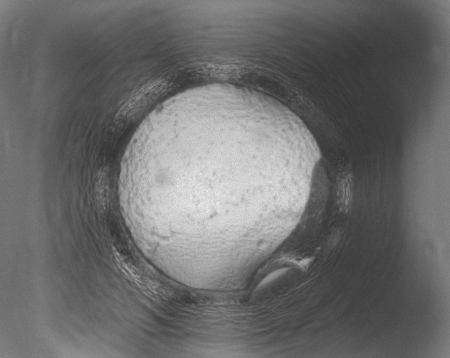 X0000085060594200703261207