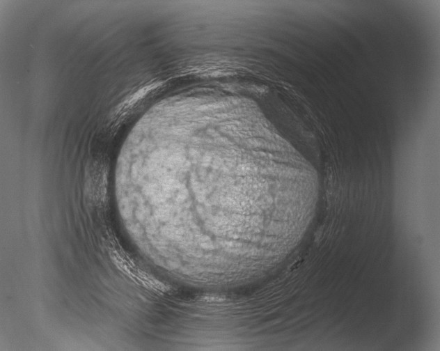 X0000085060596200703261207