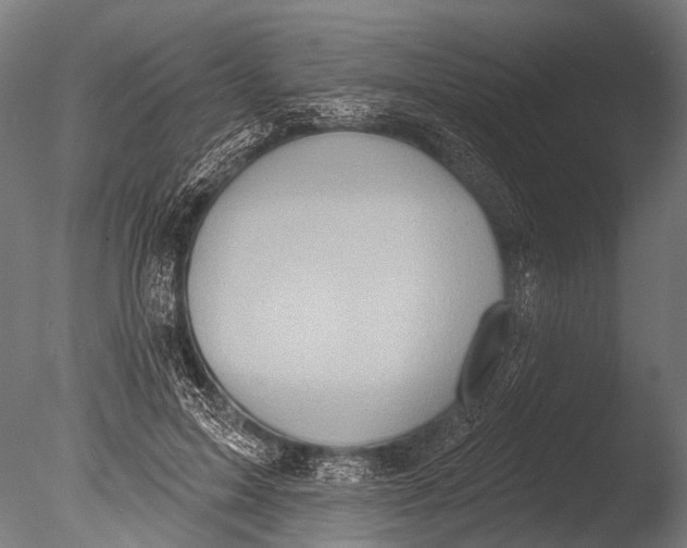 X0000085060599200703261207