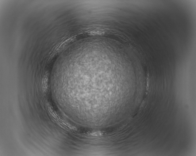 X0000085060600200703261207